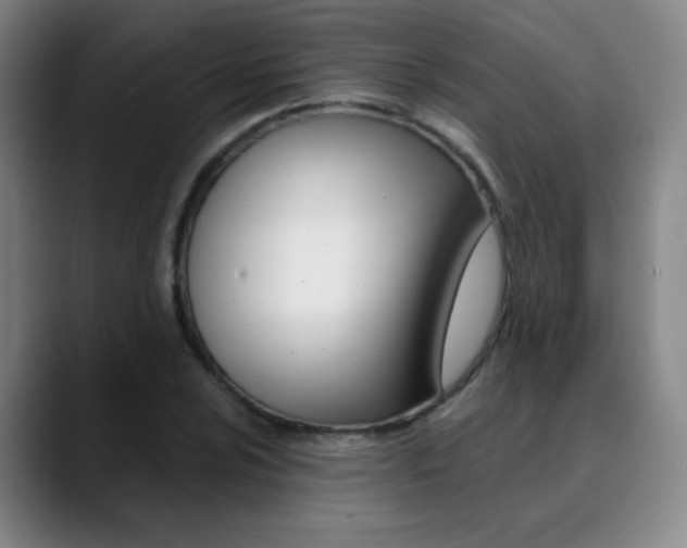X0000090501024200707130945