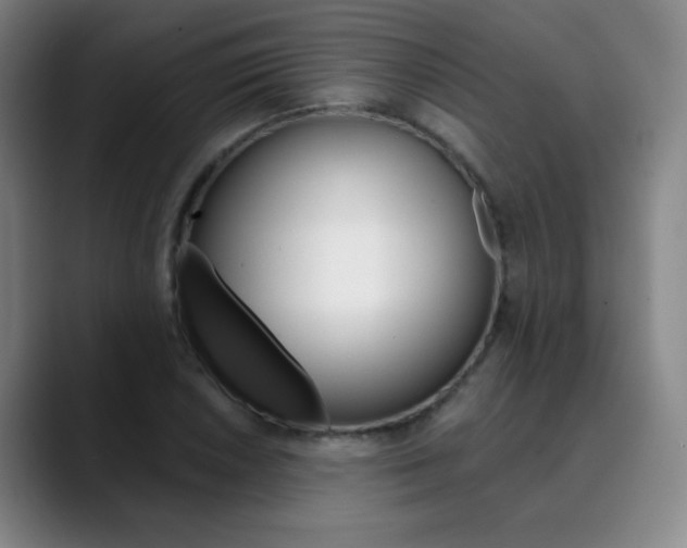 X0000090501026200707130945