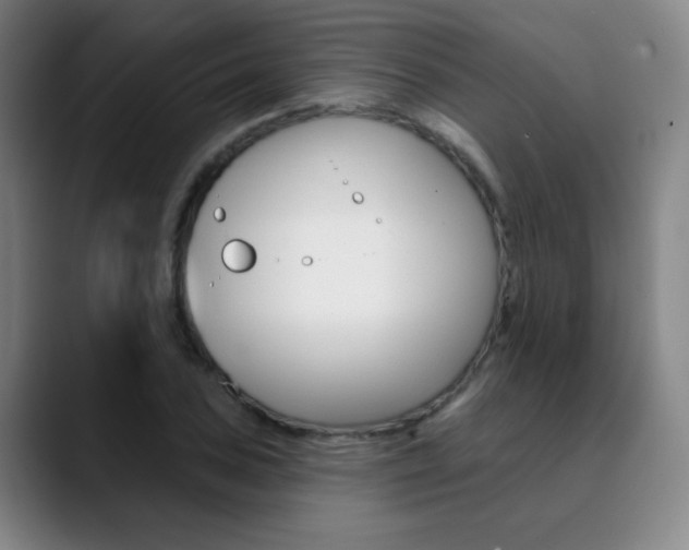 X0000090501027200707130945