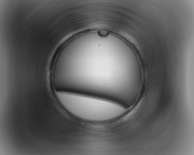 X0000090501029200707130945