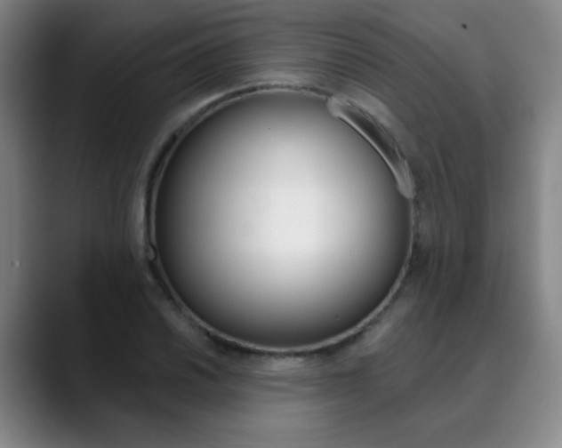 X0000090501030200707130945