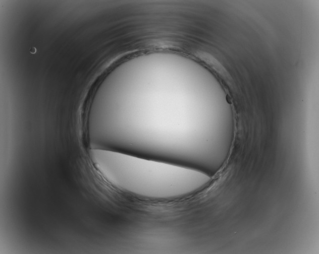 X0000090501031200707130945