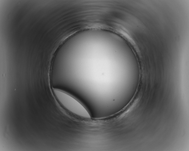 X0000090501041200707130945