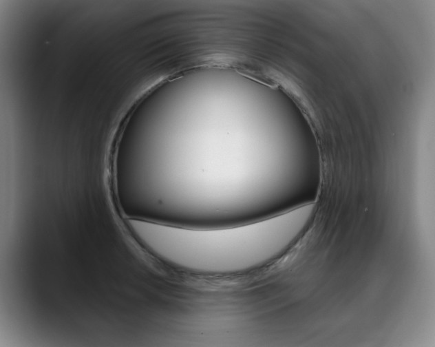 X0000090501042200707130945