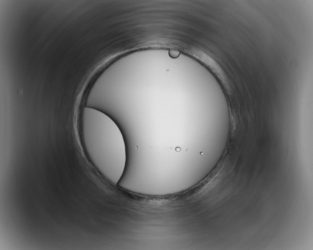 X0000090501043200707130945