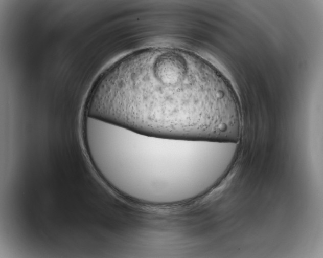 X0000090501045200707130945