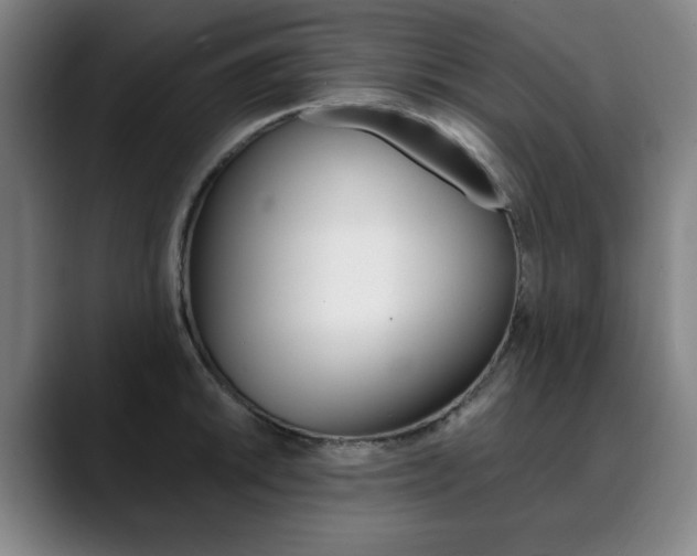 X0000090501046200707130945