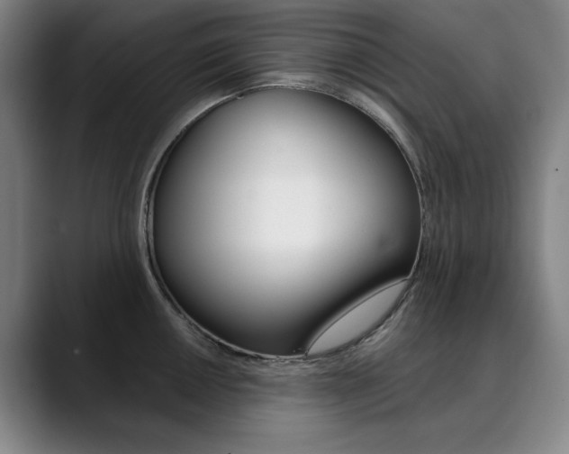 X0000090501050200707130945