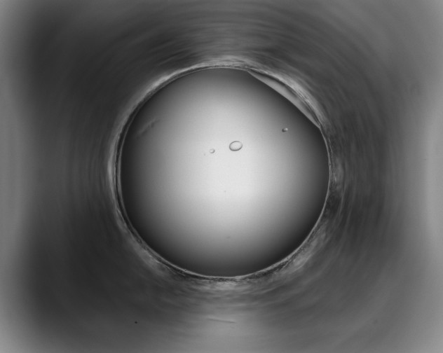 X0000090501054200707130945