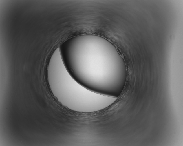 X0000090501057200707130945