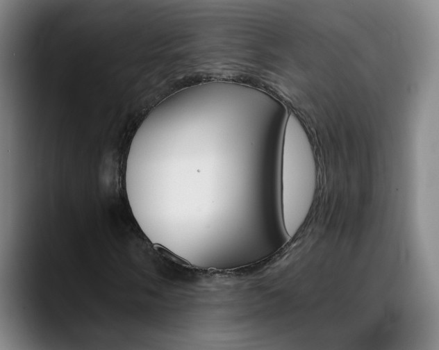 X0000090501058200707130945