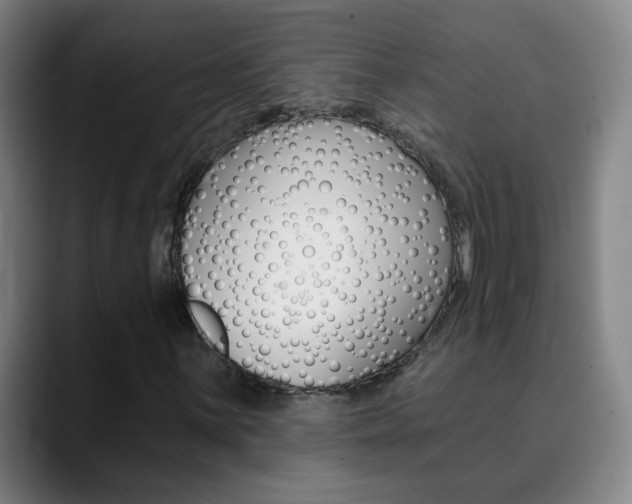 X0000090501059200707130945