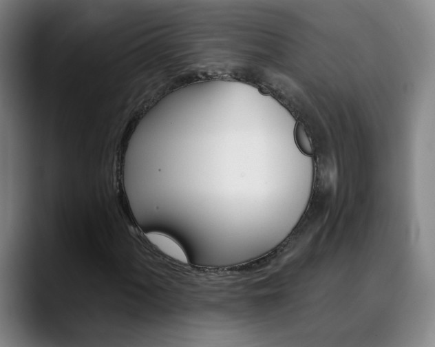 X0000090501060200707130945
