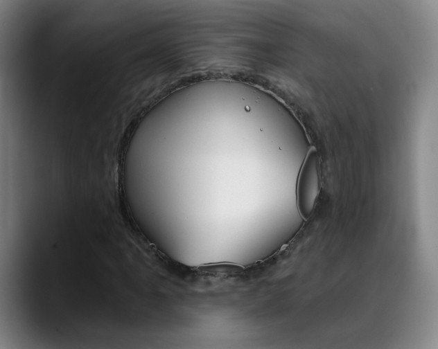 X0000090501061200707130945