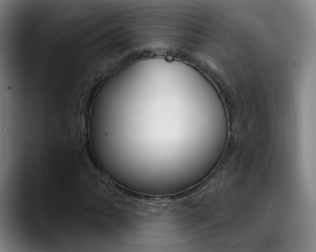 X0000090501062200707130945