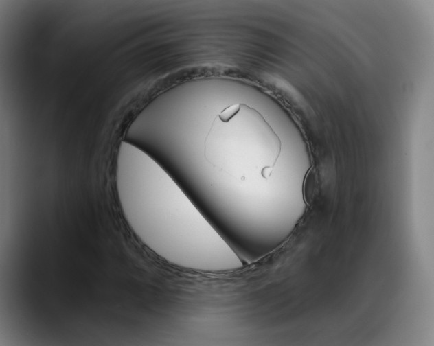 X0000090501064200707130945