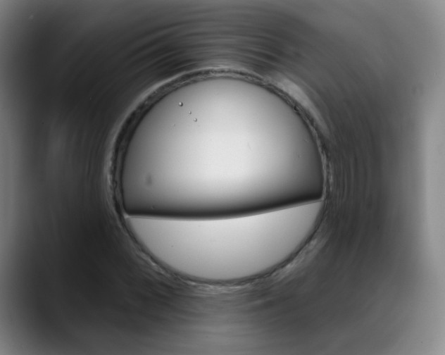 X0000090501068200707130945