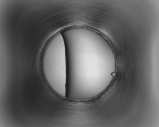 X0000090501070200707130945