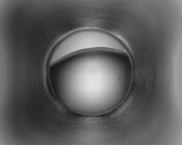 X0000090501077200707130945