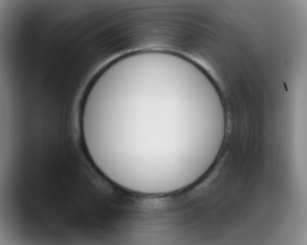 X0000090501078200707130945