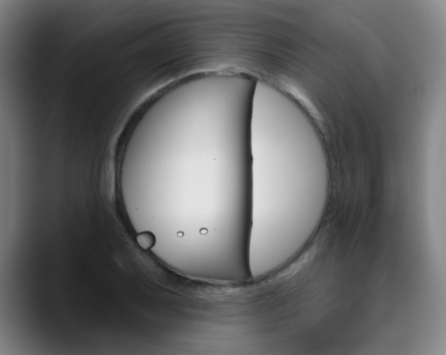 X0000090501079200707130945