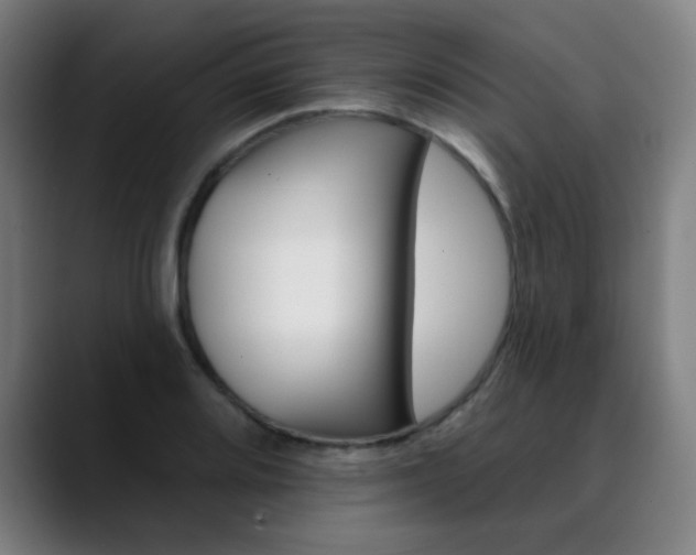 X0000090501080200707130945