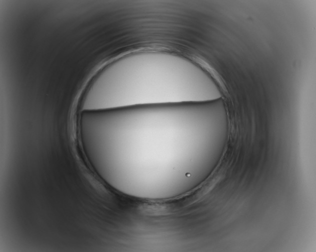 X0000090501083200707130945