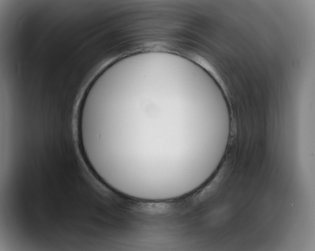 X0000090501090200707130945