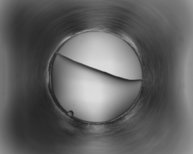 X0000090501095200707130944
