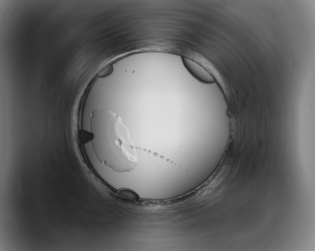 X0000090501099200707130944