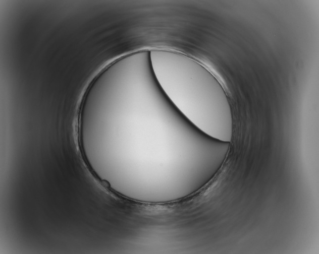 X0000090501100200707130944