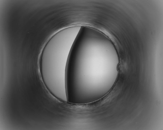 X0000090501102200707130944