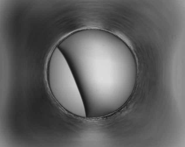 X0000090501104200707130944