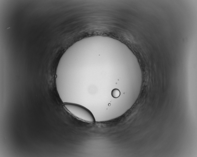 X0000090501109200707130944