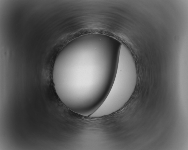 X0000090501110200707130944