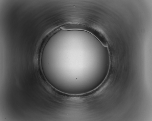 X0000090501114200707130944