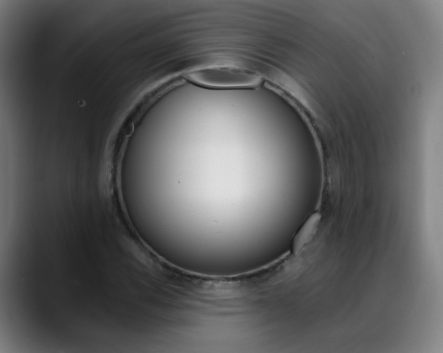 X0000090501116200707130944