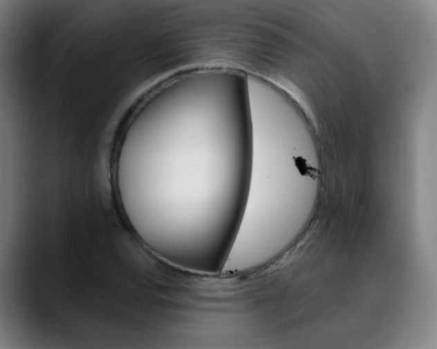 X0000090501120200707130944