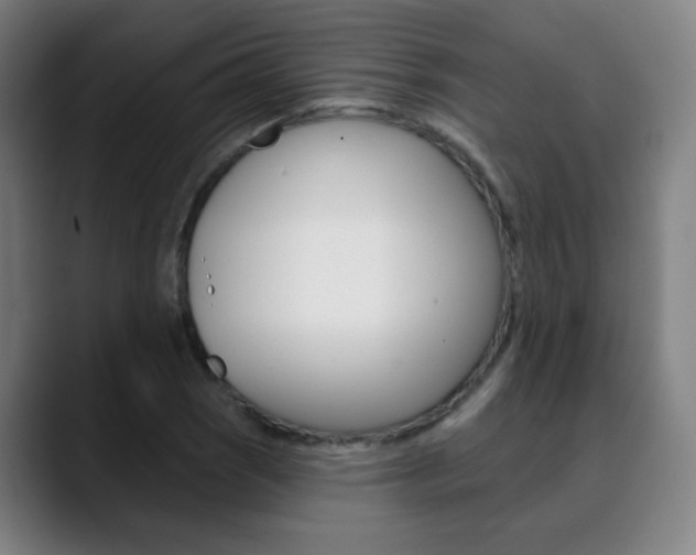 X0000090501121200707130944