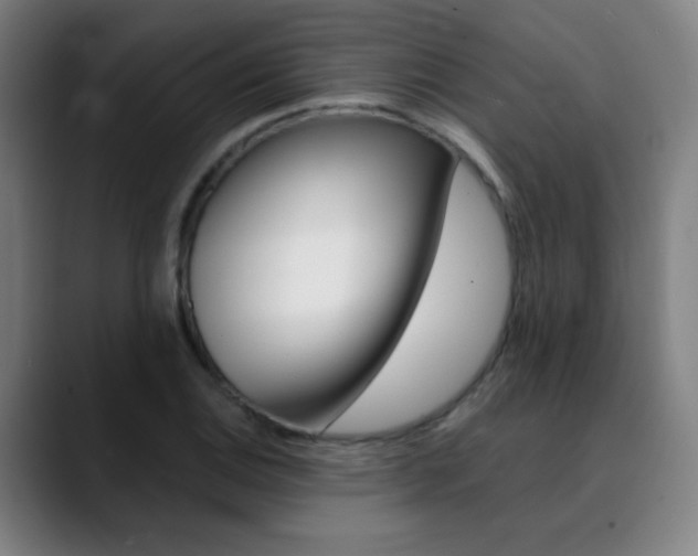 X0000090501124200707130944