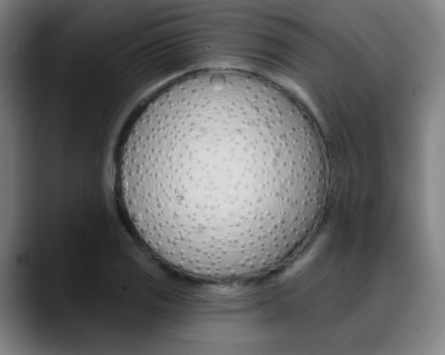 X0000090501125200707130944