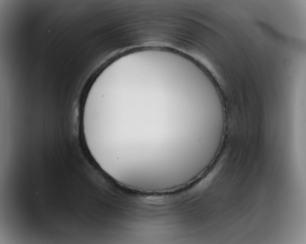 X0000090501126200707130944