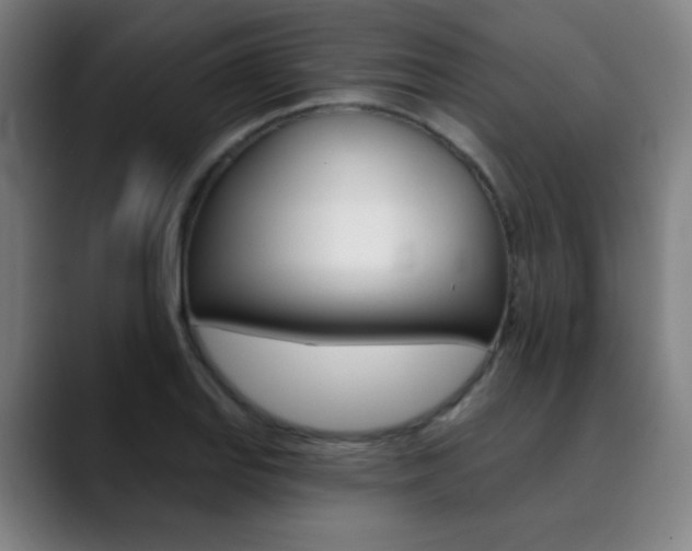 X0000090501127200707130944