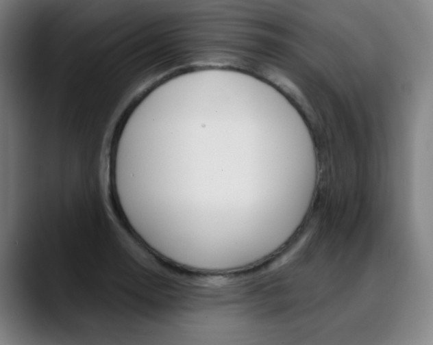 X0000090501130200707130944
