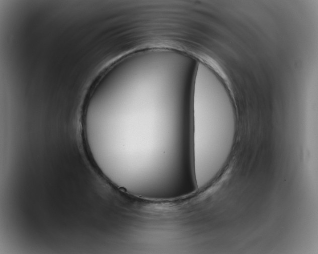 X0000090501133200707130944
