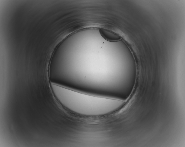 X0000090501137200707130944