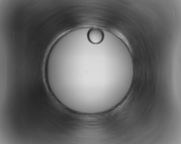 X0000090501138200707130944