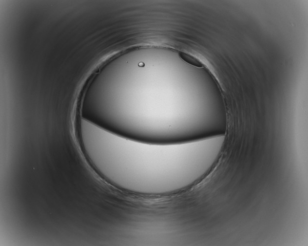 X0000090501139200707130944