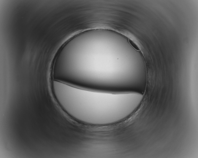 X0000090501142200707130944