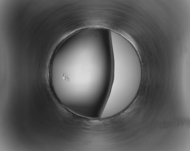 X0000090501144200707130944